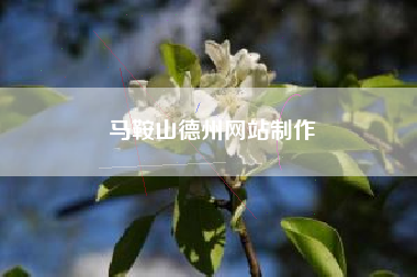 马鞍山德州网站制作
