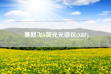赛默飞X荧光光谱仪(XRF)