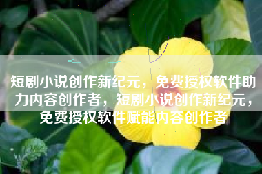 短剧小说创作新纪元，免费授权软件助力内容创作者，短剧小说创作新纪元，免费授权软件赋能内容创作者