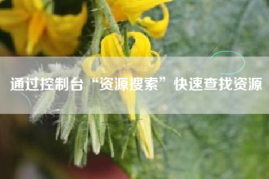 通过控制台“资源搜索”快速查找资源