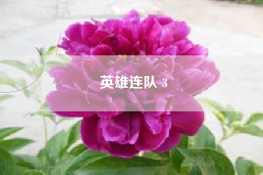 英雄连队 3