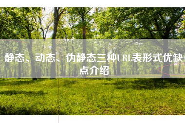 静态、动态、伪静态三种URL表形式优缺点介绍
