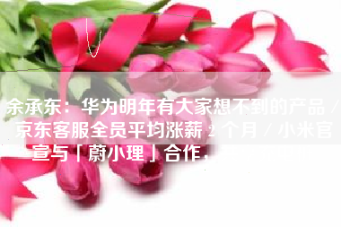 余承东：华为明年有大家想不到的产品／京东客服全员平均涨薪 2 个月／小米官宣与「蔚小理」合作，共享充电桩