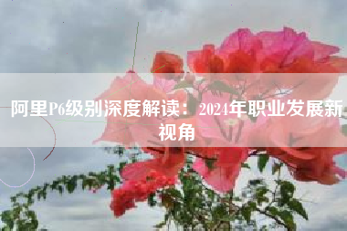 阿里P6级别深度解读：2024年职业发展新视角