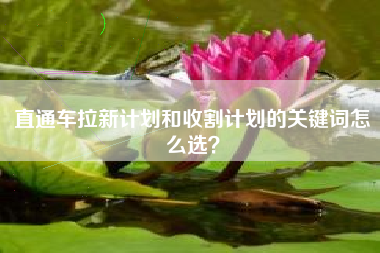 直通车拉新计划和收割计划的关键词怎么选？