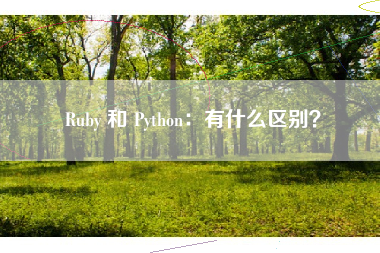 Ruby 和 Python：有什么区别？