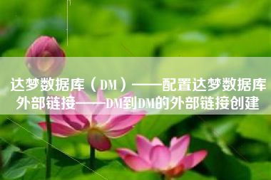 达梦数据库（DM）——配置达梦数据库外部链接——DM到DM的外部链接创建