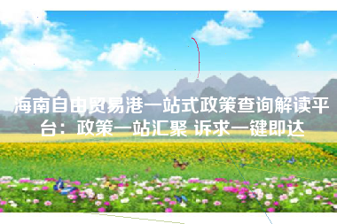 海南自由贸易港一站式政策查询解读平台：政策一站汇聚 诉求一键即达