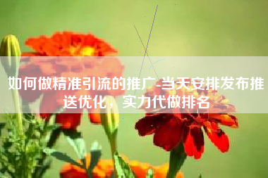如何做精准引流的推广-当天安排发布推送优化，实力代做排名