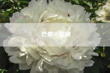 芒果TV影视