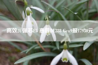 高效2U强芯E5 惠普DL388 Gen9报17930元