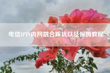 电信IPTV内网融合踩坑以及保姆教程