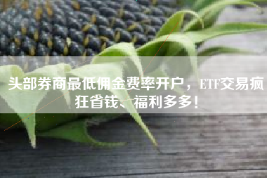 头部券商最低佣金费率开户，ETF交易疯狂省钱、福利多多！