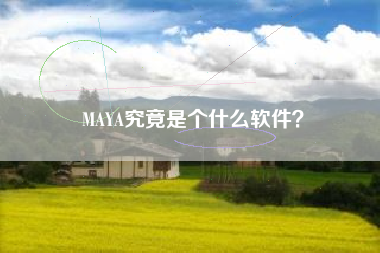 MAYA究竟是个什么软件？