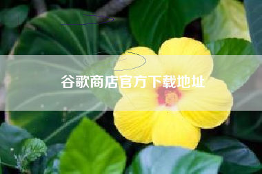 谷歌商店官方下载地址