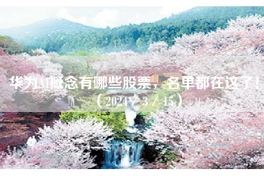 华为AI概念有哪些股票，名单都在这了！（2024／3／15）