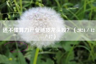 还不懂算力产业链及龙头股？（2024／12／17）