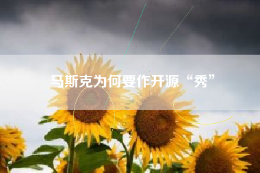 马斯克为何要作开源“秀”