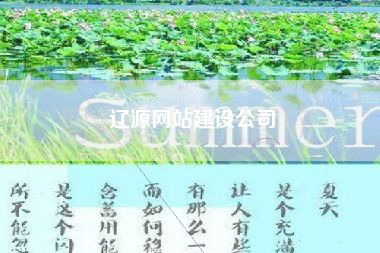 辽源网站建设公司