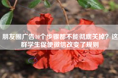 朋友圈广告10个步骤都不能彻底关掉？这群学生促使微信改变了规则