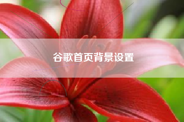 谷歌首页背景设置