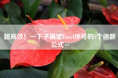超高效！一下子搞定Excel序号的5个函数公式~
