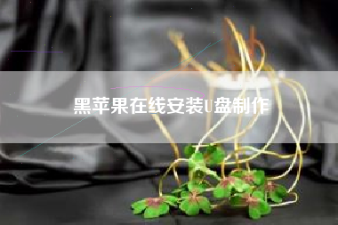 黑苹果在线安装U盘制作