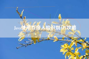 Java使用百度人脸识别API攻略 Java使用百度人脸识别API攻略