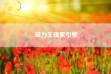 磁力王搜索引擎