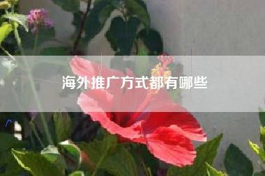 海外推广方式都有哪些