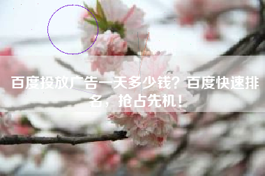 百度投放广告一天多少钱？百度快速排名，抢占先机！