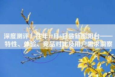 深度测评，往年12月6日最新图阳台——特性、体验、竞品对比及用户需求洞察