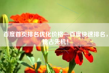 百度首页排名优化价格—百度快速排名，抢占先机！