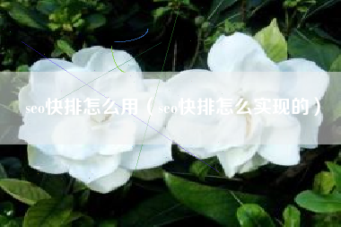 seo快排怎么用（seo快排怎么实现的）