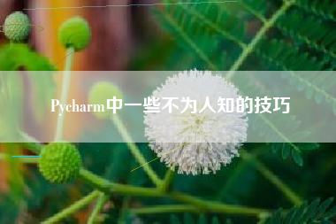 Pycharm中一些不为人知的技巧