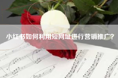 小红书如何利用短网址进行营销推广？