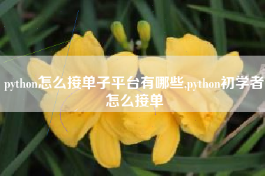 python怎么接单子平台有哪些,python初学者怎么接单