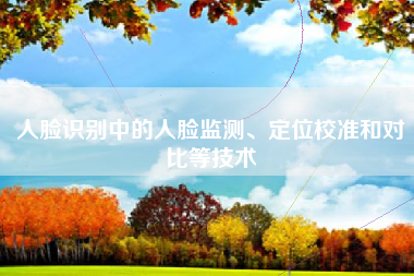 人脸识别中的人脸监测、定位校准和对比等技术