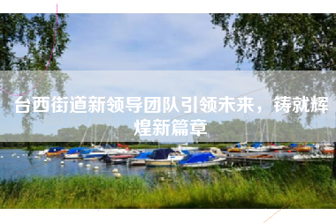 台西街道新领导团队引领未来，铸就辉煌新篇章