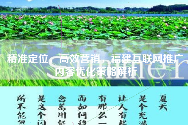 精准定位，高效营销，福建互联网推广内容优化策略解析