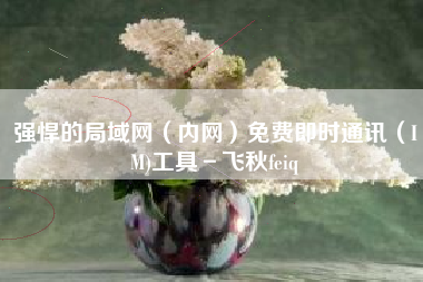 强悍的局域网(内网)免费即时通讯(IM)工具-飞秋feiq 强悍的局域网(内网)免费即时通讯(IM)工具-飞秋feiq