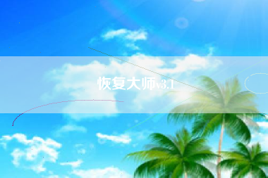 恢复大师v3.1