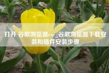 打开 谷歌浏览器exe_谷歌浏览器下载安装和插件安装步骤