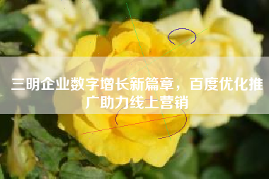 三明企业数字增长新篇章，百度优化推广助力线上营销