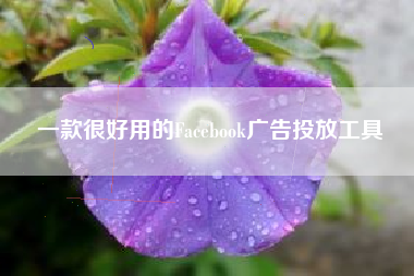 一款很好用的Facebook广告投放工具