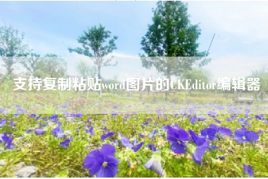 支持复制粘贴word图片的CKEditor编辑器