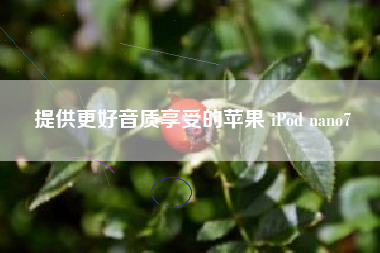 提供更好音质享受的苹果 iPod nano7