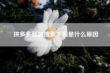 拼多多新店搜索不到是什么原因