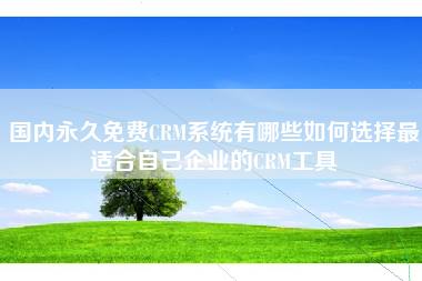 国内永久免费CRM系统有哪些如何选择最适合自己企业的CRM工具