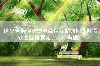 这里告诉你跨境电商独立站如何做好微软必应搜索bing ads广告推广